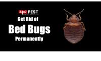 247 Bed Bug Control Melbourne image 2